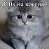 Спасение от тильта