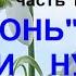 1 Огонь в печени нужно гасить весной