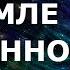 Путь души на Земле и во Вселенной Гербер Мария