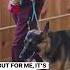 German Shepherd Learns How To Walk On Leash