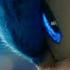 Evalk Sonic With Sonic 2020 Best Moments HD