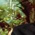 Brendan Fraser Breaks Down His Most Iconic Characters GQ