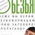 Аудионовинка Дэвид Граймс Неразумная обезьяна Почему мы верим в дезинформацию