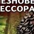 Последние драконы Исчезновение профессора Лу Фу Кир Булычев Аудиокнига