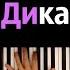 ALEX RUS Дикая львица караоке PIANO KARAOKE ᴴᴰ НОТЫ MIDI