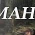 Васіль Быкаў У тумане Пераказ