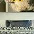 This Scary Cat Meowing Is So Scary