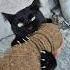 Angry Black Cat Enjoying Getting Her Teeth And Claws On My Arm