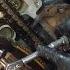 Ford 5 4L 3v Engine Timing Walkthrough