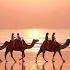 Broome S Brilliance Just Went Up A Notch Broome In WAtheDreamState