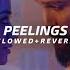 Peelings Slowed Reverb Allu Arjun Pushpa 2