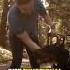 The Influence Of Sled Dogs In Wilderness Exploration Dogcoach Dogtraining Doglove Dog