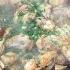 RECIPE FOR DRUNK CHICKEN ON A CAMPFIRE WITH VEGETABLES