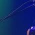 BØRNS Past Lives Live JBTV