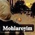 Mohlaroyim Rek Instagram Tiktok Video Trendingshorts Shok Uz