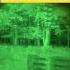 Night Vision Airsoft Tracer Rounds Shorts Short
