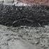 Amazing Flash Flood Debris Flow Southern Utah HD
