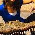 Reptiles For Kids Educational Videos
