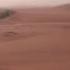 Safari Nel Deserto 2 Dubai