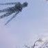 STALKER 2 6 Секретных МУТАНТОВ