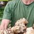 13 Survival Gardening Crops To Grow To Live Off Your Garden