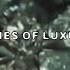 UICIDEBOY ASHES OF LUXURY Lyric Video