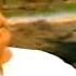MIle Sur Mera Tumhara 720P High Quality Doordarshan