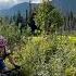 Best Whistler Gravel Rides In 2025 4K
