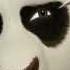 Kung Fu Panda 2 MV Breath 자막 Wmv