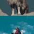 Pakistan S National Animal Is The Markhor Markhor