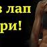 Мама которая была как мачеха Любовные истории Жизненные истории Аудио рассказы