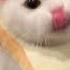 I AM GOING TO KILL YOUR FAMILY