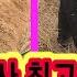 고추농사 최고급정보 이것만 잡으면 가쟁기 찟어지게 달림