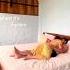 Night Romantic Video Shots Shortvideo Viral