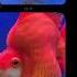 Hello I M Under The Water Please Help Me