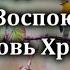 Гимны Надежды 40 Воспою любовь Христа Караоке минус Христианские песни Гимны надежды