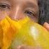 Mango Season Hits The UK Fresh Jamaican Mangoes Arrive In London