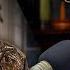 Jase Puzzles Over Uncle Si S Pals Believing His Death Hoax While He S In The Room With Them 1109