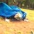 The Way Osman Took Revenge Of His Daughter S Bala Osman Holofira Gonca Fatima Halima