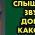 Я привел бездомного в свой дом и ночью слышал странные звуки Я и не догадывался какой сюрприз