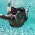 Cala Goloritze Was Voted As 1 Beach In The World Out Of 50 For 2025