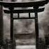 A Beautiful Japanese Shrine In The Making