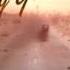 Fallout New Vegas Radio Mojave CG BM It S A Sin To Tell A Lie The Ink Spots