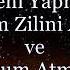 Bu Adam Benim Babam KARAOKE