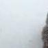 WOW CHICAGO BLIZZARD FEB 2011 YiKeS MUST SEE THIS