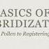 The Basics Of Rose Hybridization From Collecting Pollen To Registering A New Cultivar