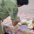 Billu Aur Garmi Billucat Sajidcat Cat Catcomedy Cat Petlover Pets Catshorts Sajidcat
