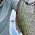 How I Find Big Texas Crappie After Spawning CATCH CLEAN