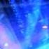 Dnb Enigma Paradise