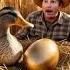 A Man Flying With Cute Duck Duck Blackduck Duckbaby Great Brave Viral Like